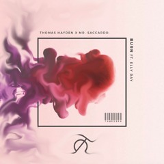 Thomas Hayden, Mr. Saccardo - Burn (Ft. Elly Ray) (Tilø Remix) - REMIX COMPETITION