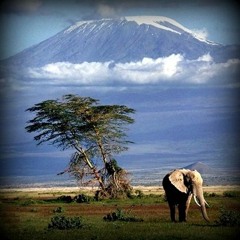 Road To Kilimanjaro