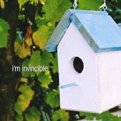 I Am Invincible - Cassadee Pope (cover)