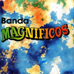 Banda Magníficos - É Chamego Ou Xaveco #DASANTIGAS