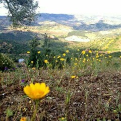 Tafreed & Dhalama Ashqu Gha Rami (Abu Ali & Abdur Rahman Sha'ar)