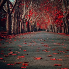 Fall 16 Freestyle 2.0