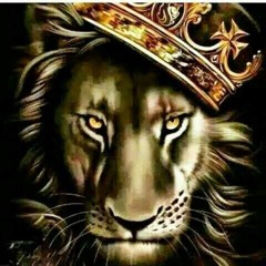 The Jungle A Gattbush Story