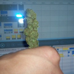 be real duck the fakes 216