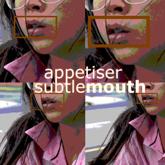 SubtleMouth Appetiser