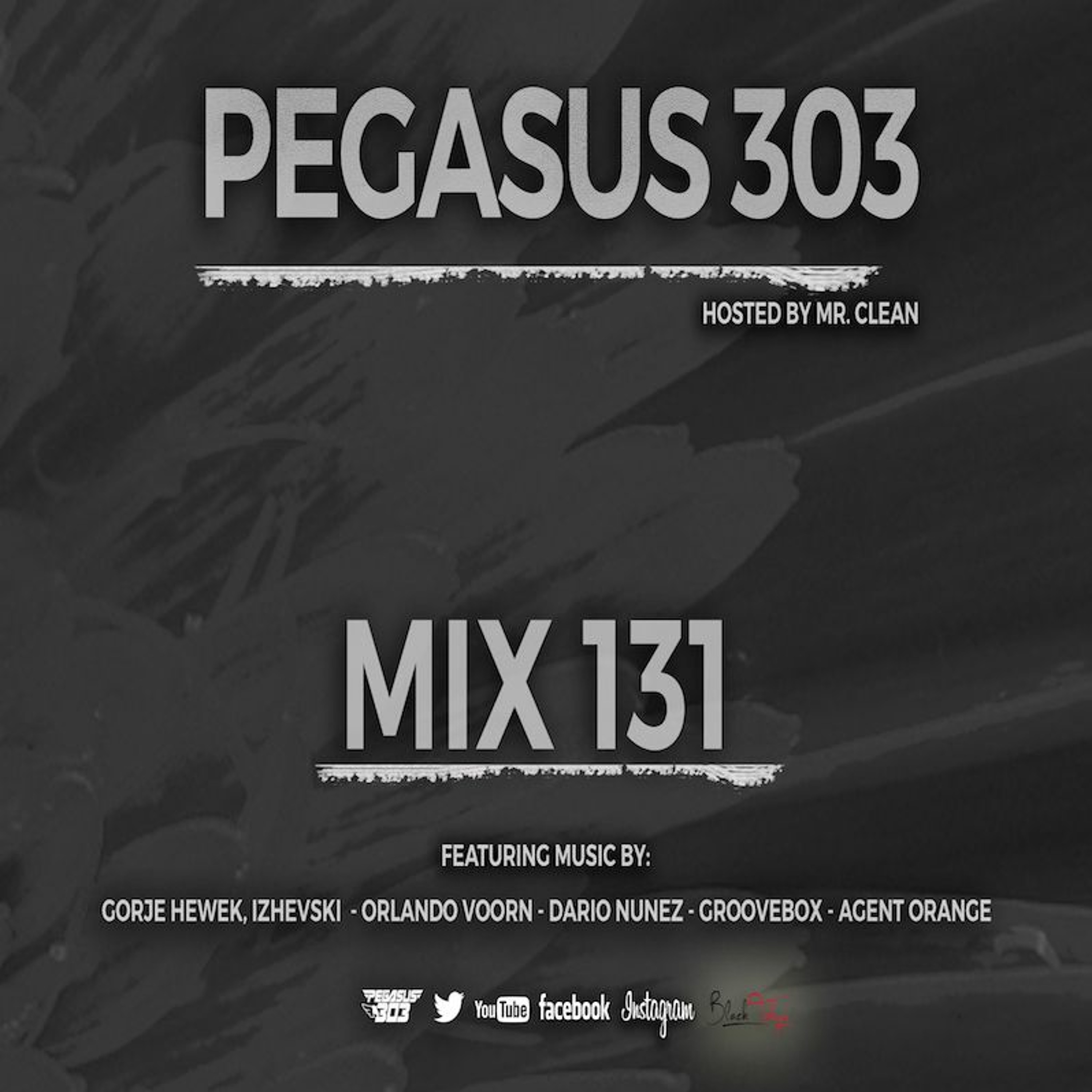 Pegasus 303 (mrclean)