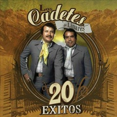 LOS ORIGINALES CADETES DE LINARES DE HOMERO Y LUPE TIGERINA GRANDES ÉXITOS ... DJ CHABELITO MIX-X