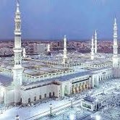 إلى رحاب اليثرب
