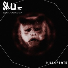 3. Sauz - Confused Monkeys