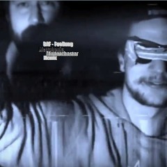 BAF - Fuellung (MettOrchester)Remix