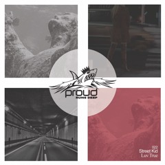 Street Kid - Luv True (Original Mix)