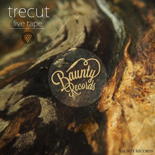 Trecut - Stone Age [Original Mix]