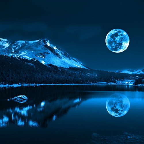 Midnight Wonderland (with video)