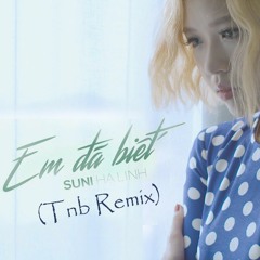 Suni Hạ Linh Ft. R.Tee - Em Đã Biết (Tnb Remix)