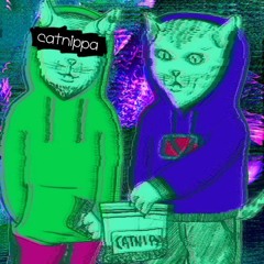MEOWMEOW - catnippa