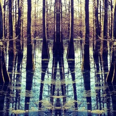 Mind Over Matter ...