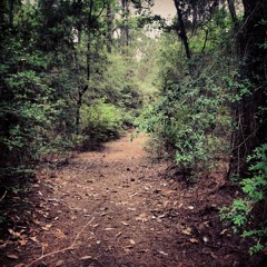 Lonely Hearted Guy - Oleskies V2