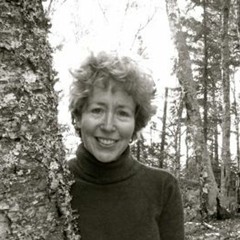 Toxic Bodies: : Hormone Disruptors and the Legacy of DES