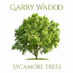 Garry Wadoo - Sycamore Trees (Twin Peaks cover) HOME DEMO