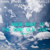 I Know What Is the Same Old Love (MashUp) Selena Gomez, Shawn Mendes & Camila Cabello