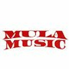 mercedes - How Would You Feel