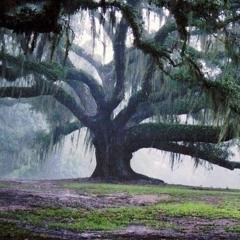 Eddie Vedder - No Ceiling.