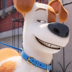 THE SECRET LIFE OF PETS - Double Toasted Audio Review