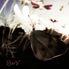 orchestral composition #1 ('Ardis House') - 21060710