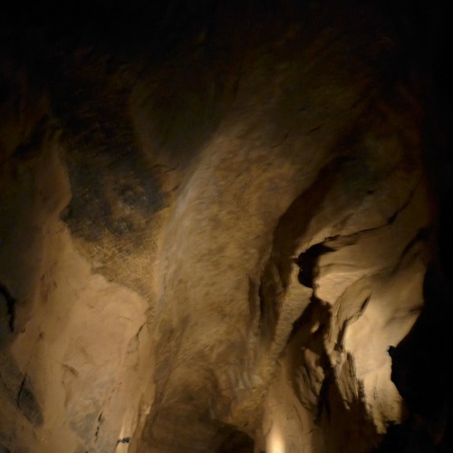 The Crypt