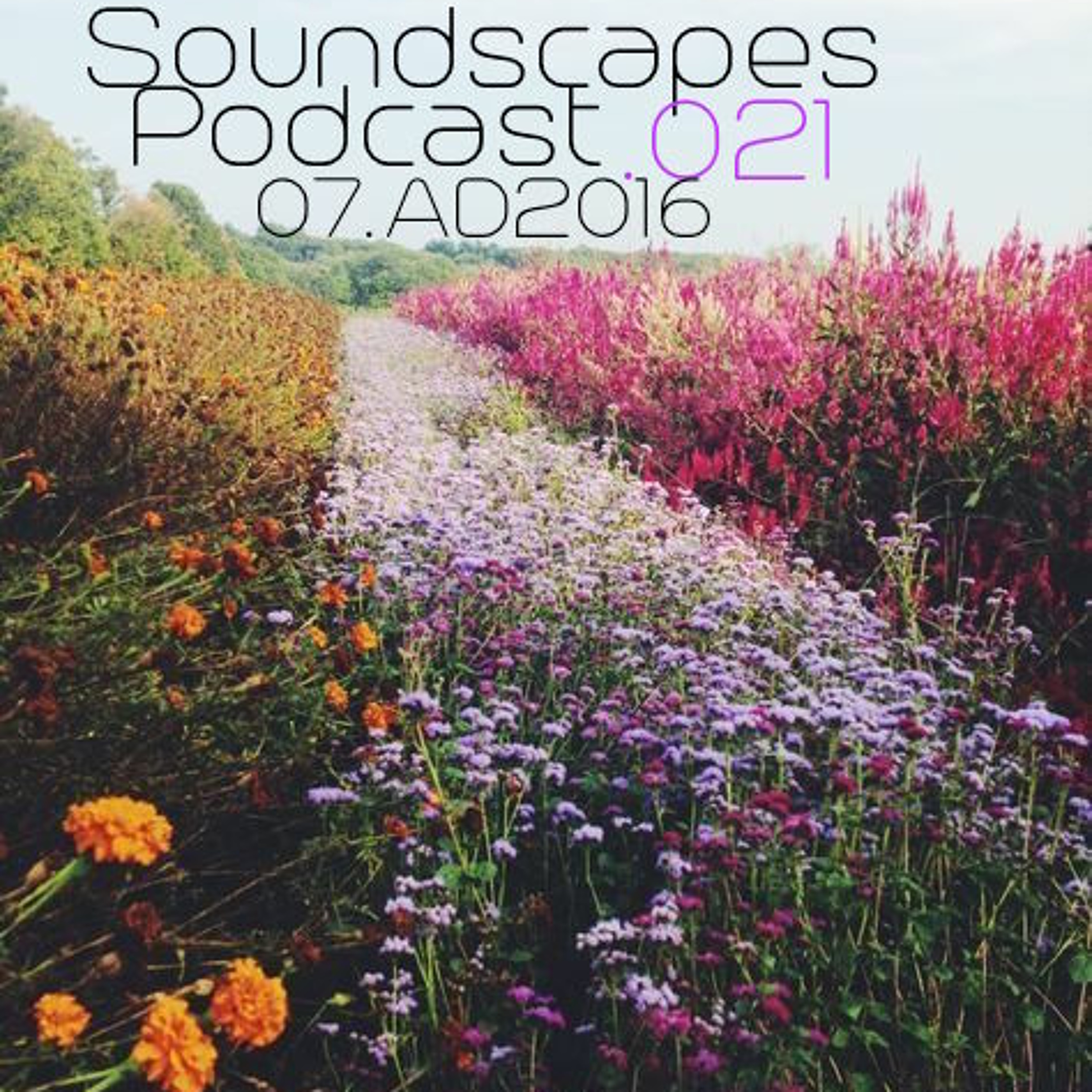 Soundscapes Podcast