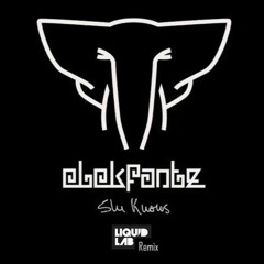 SheKnows - Elekfantz (LiquidLab Remix)