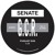 Artwork for Senate - Forza Rays [GCR004]