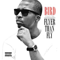 Fly (feat. Chelsea Rochelle)