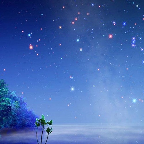 Night ver. miseru & zeru | arr. by Andy Yoon