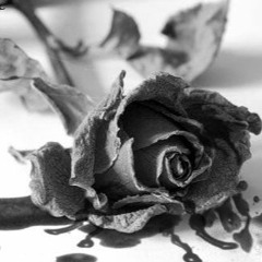 Nothing Left To Lose - Kari Kimmel - Cover