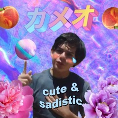 美的