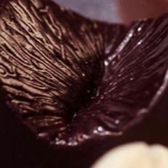 Back Door - Tarxan & Qpon (prod. Harmony)