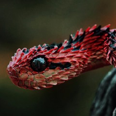 Playing With Sound on a Sunday Night