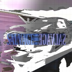 Salvage (Mastered. By Bleach)