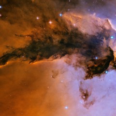 Universum