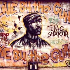 Homies & Thugz (NLM Rmx) - Run DMC Method Man & 2Pac