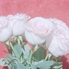 Rental car thru the desert