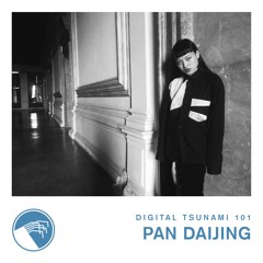 Digital Tsunami 101 - Pan Daijing