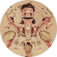 A1 The Lonely Hunter (Original Mix)/ Extract