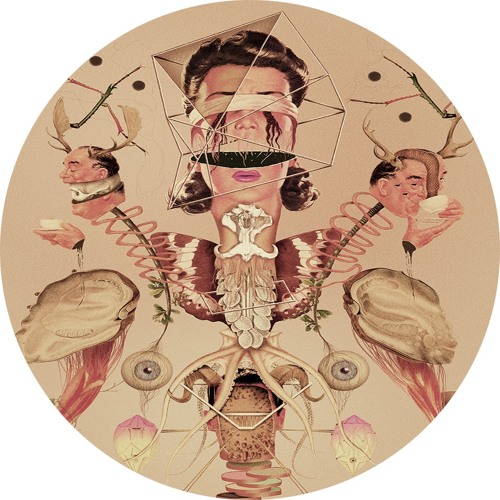 A1 The Lonely Hunter (Original Mix)/ Extract