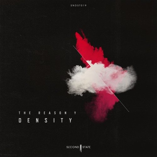 The Reason Y - Density