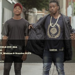 Double Cup Ft WTF Moshine & Brandon BLVD - HAWEMA !!!