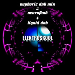 Euphoric Vinyl Mix = Neurofunk + Liquid DnB