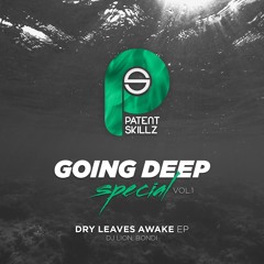 Dj Lion & BONDI - Dry Leaves Awake (Club Version)