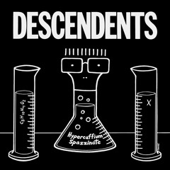 Descendents - Without Love